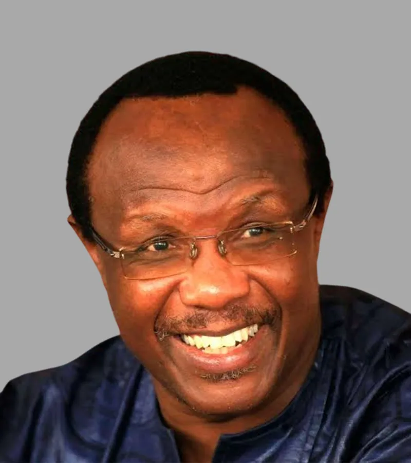 Dr David Ndii